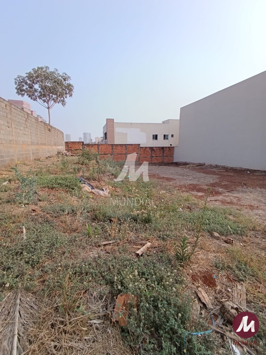 Terreno/Lote — foto 4