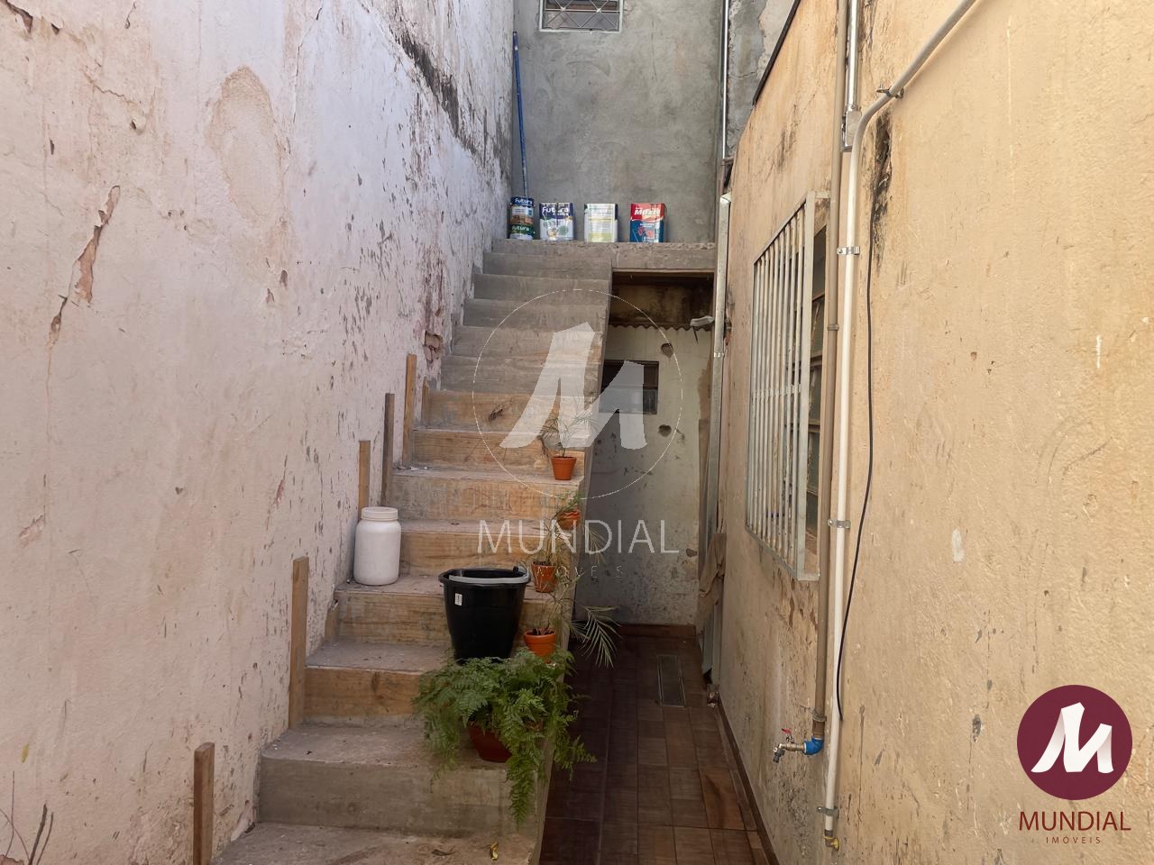 Edicula — foto 11