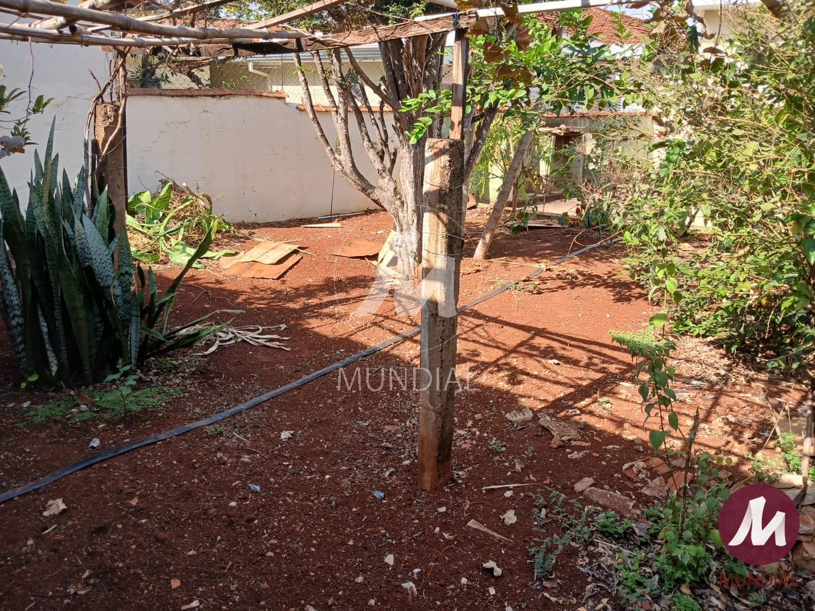 Quintal/corredores — foto 16