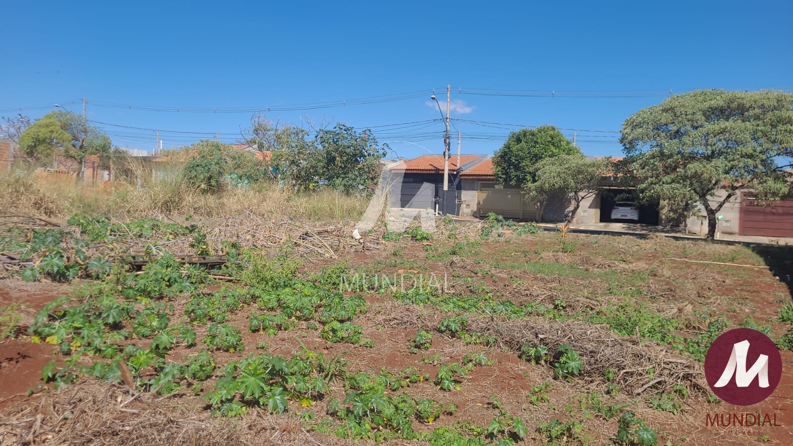 Terreno/Lote — foto 3