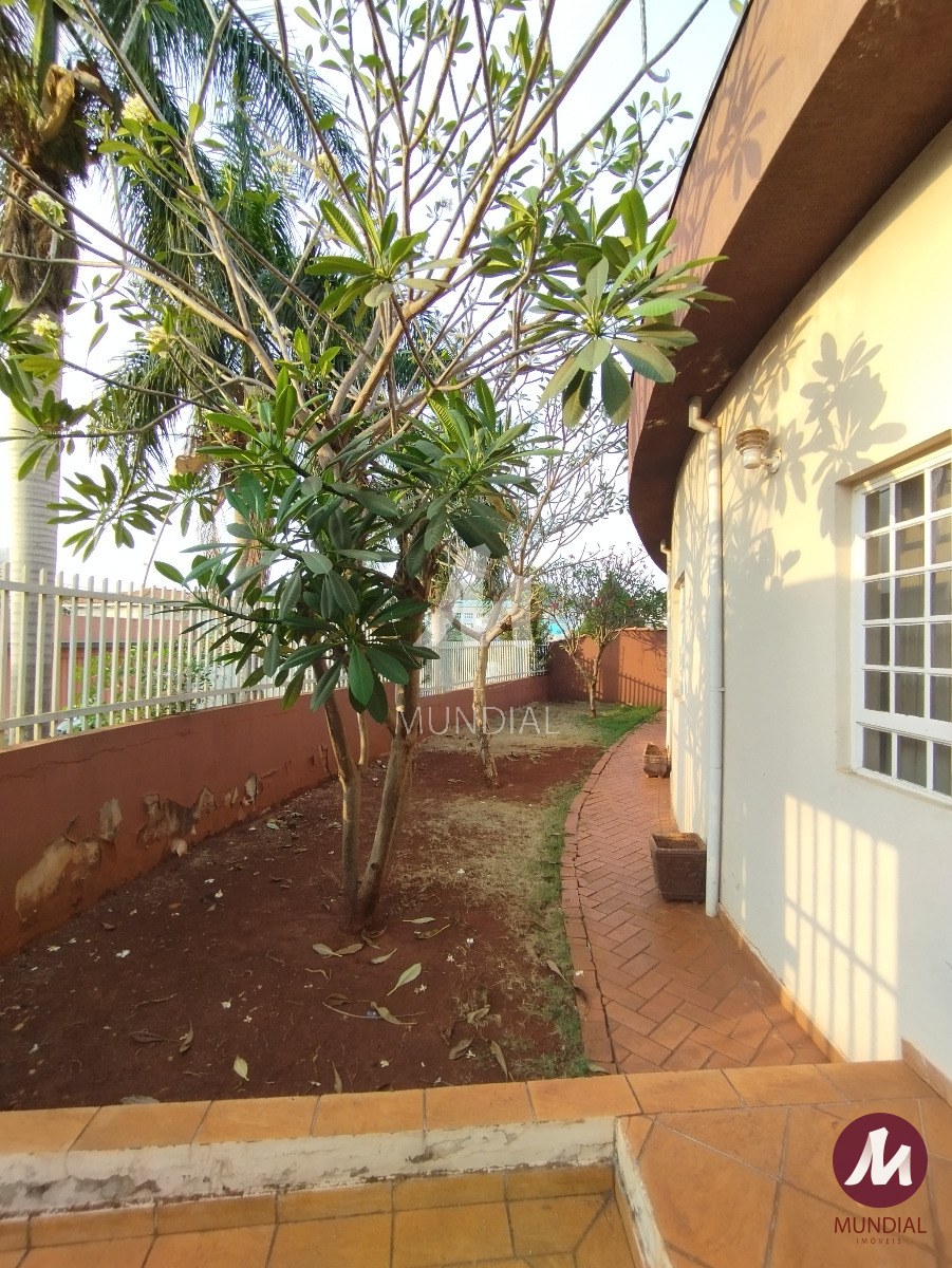 Jardim — foto 3