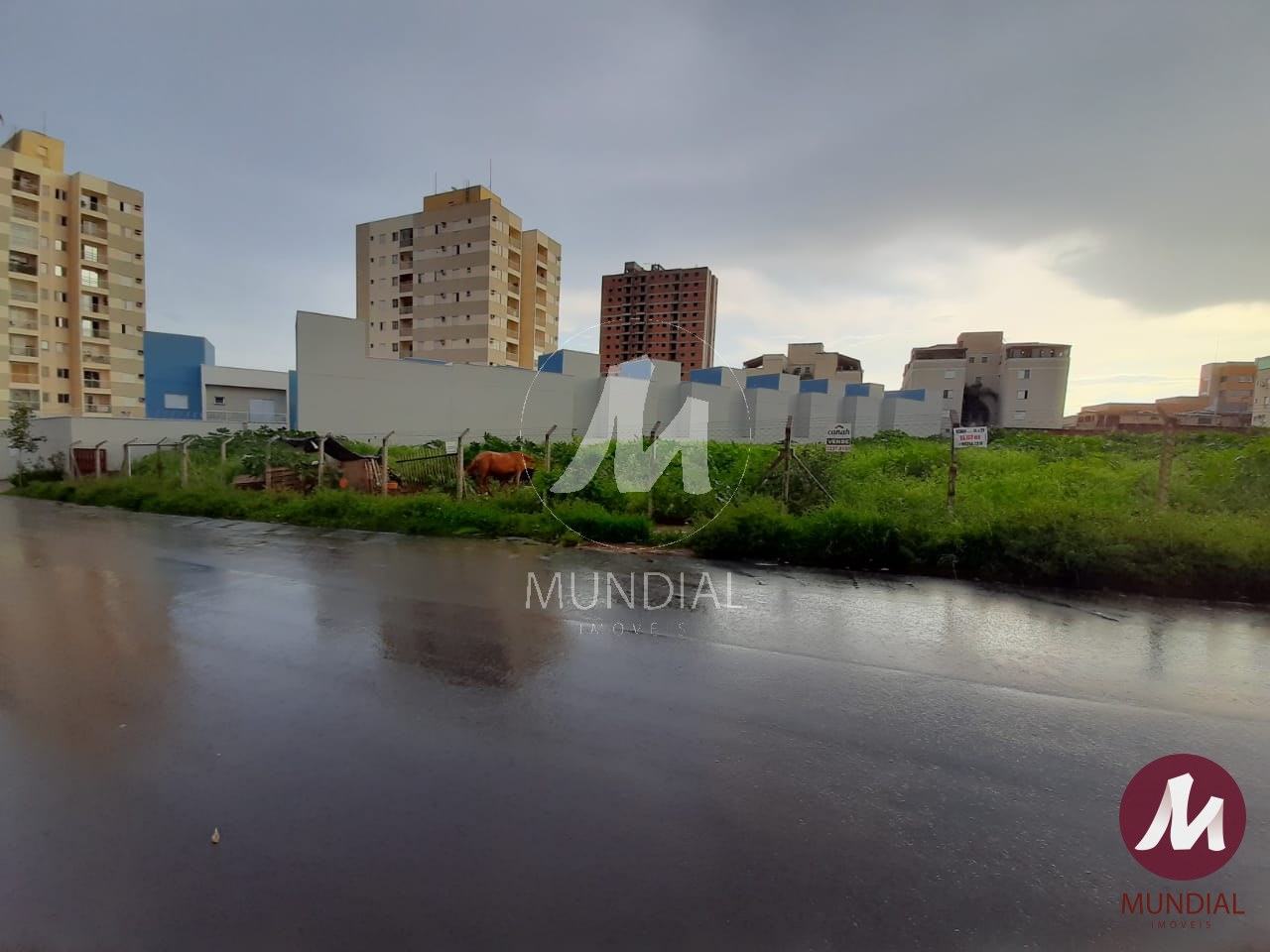Terreno/Lote — foto 3