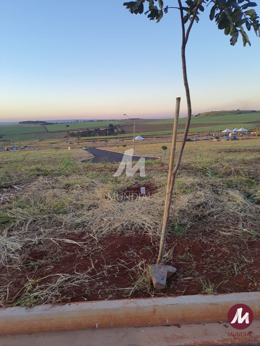 Terreno/Lote — foto 4