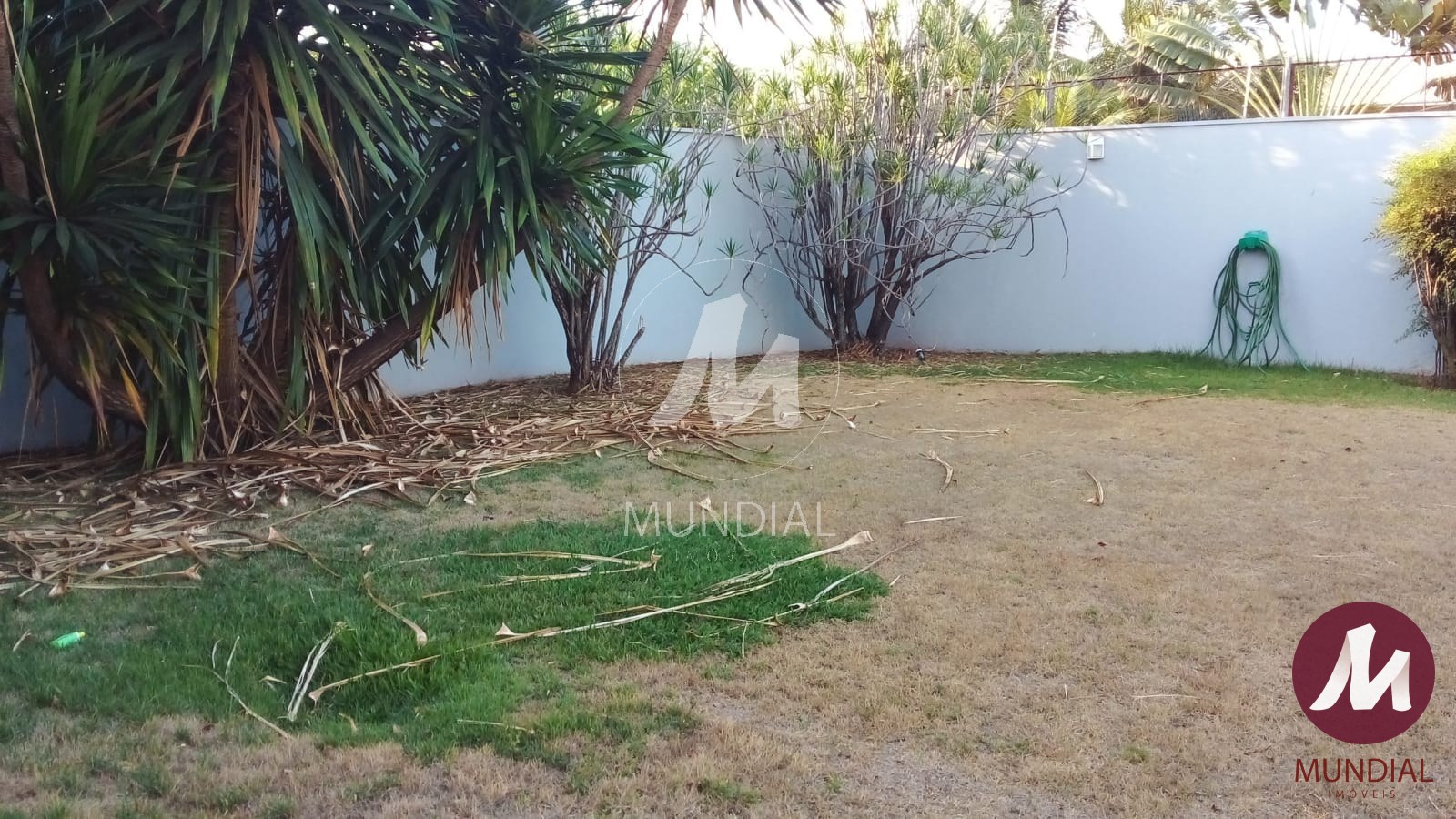 Quintal/corredores — foto 23