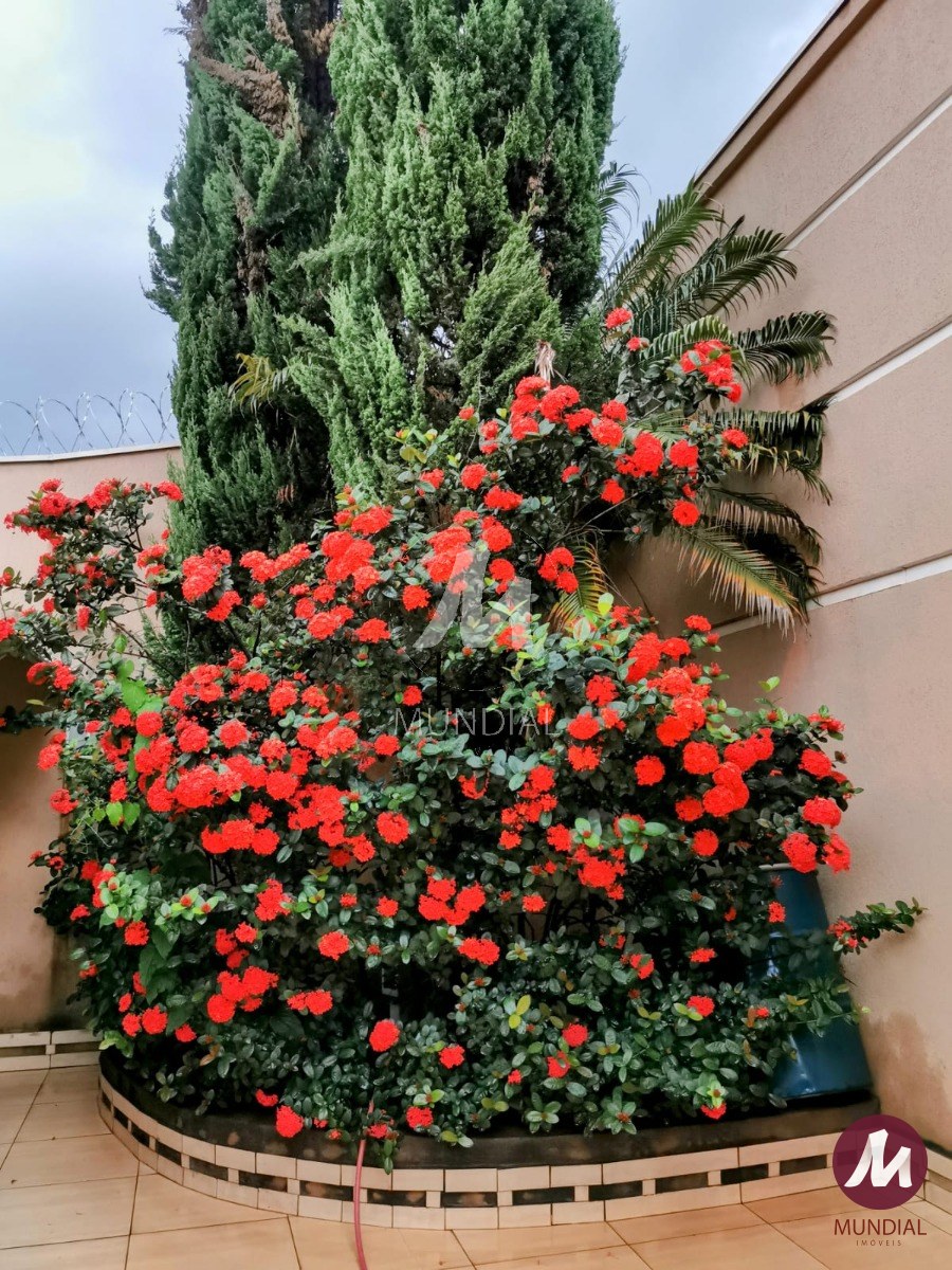 Jardim — foto 20
