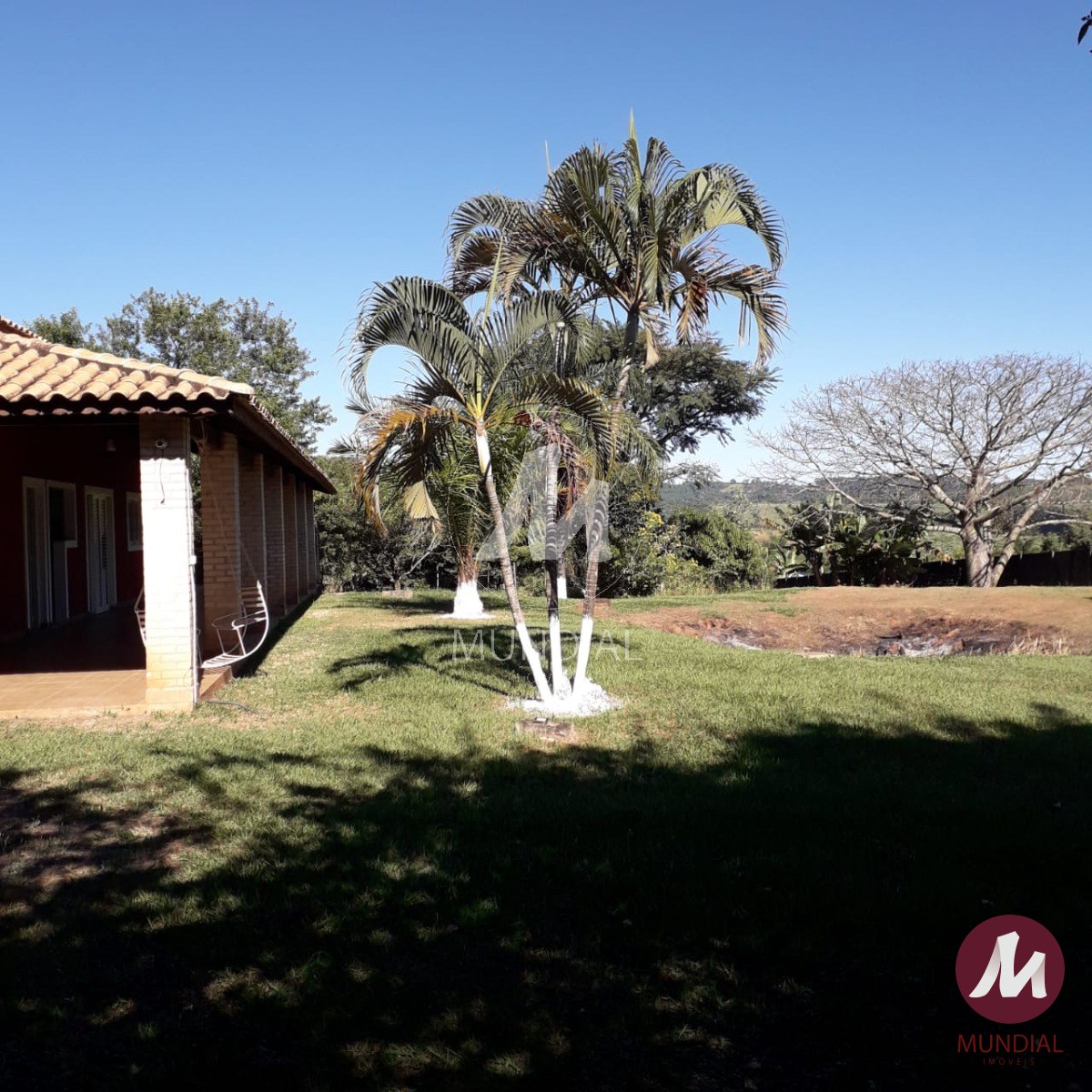 Quintal/corredores — foto 18