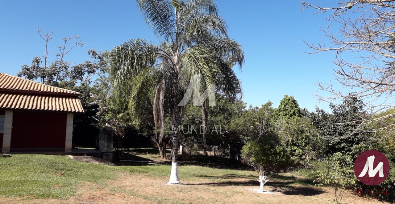 Quintal/corredores — foto 20