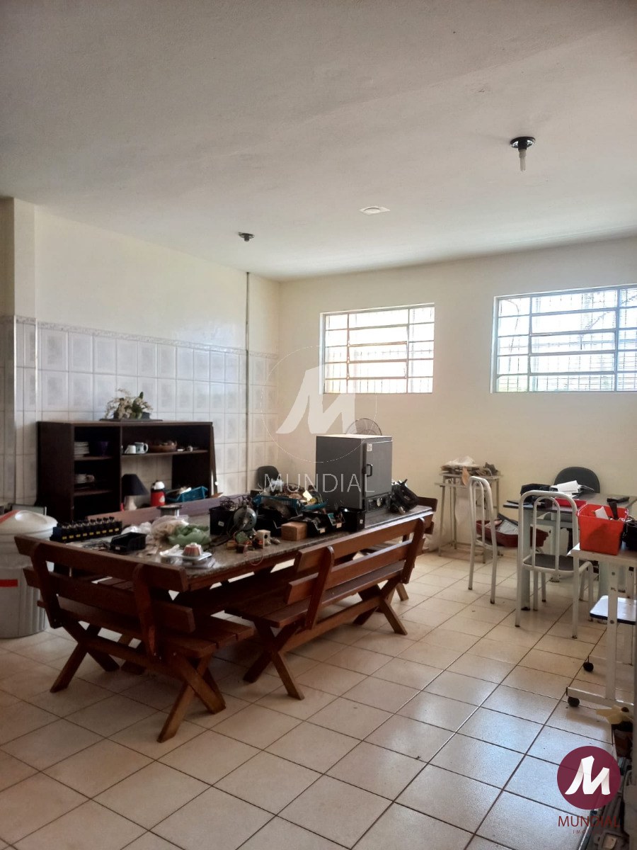 Copa — foto 15