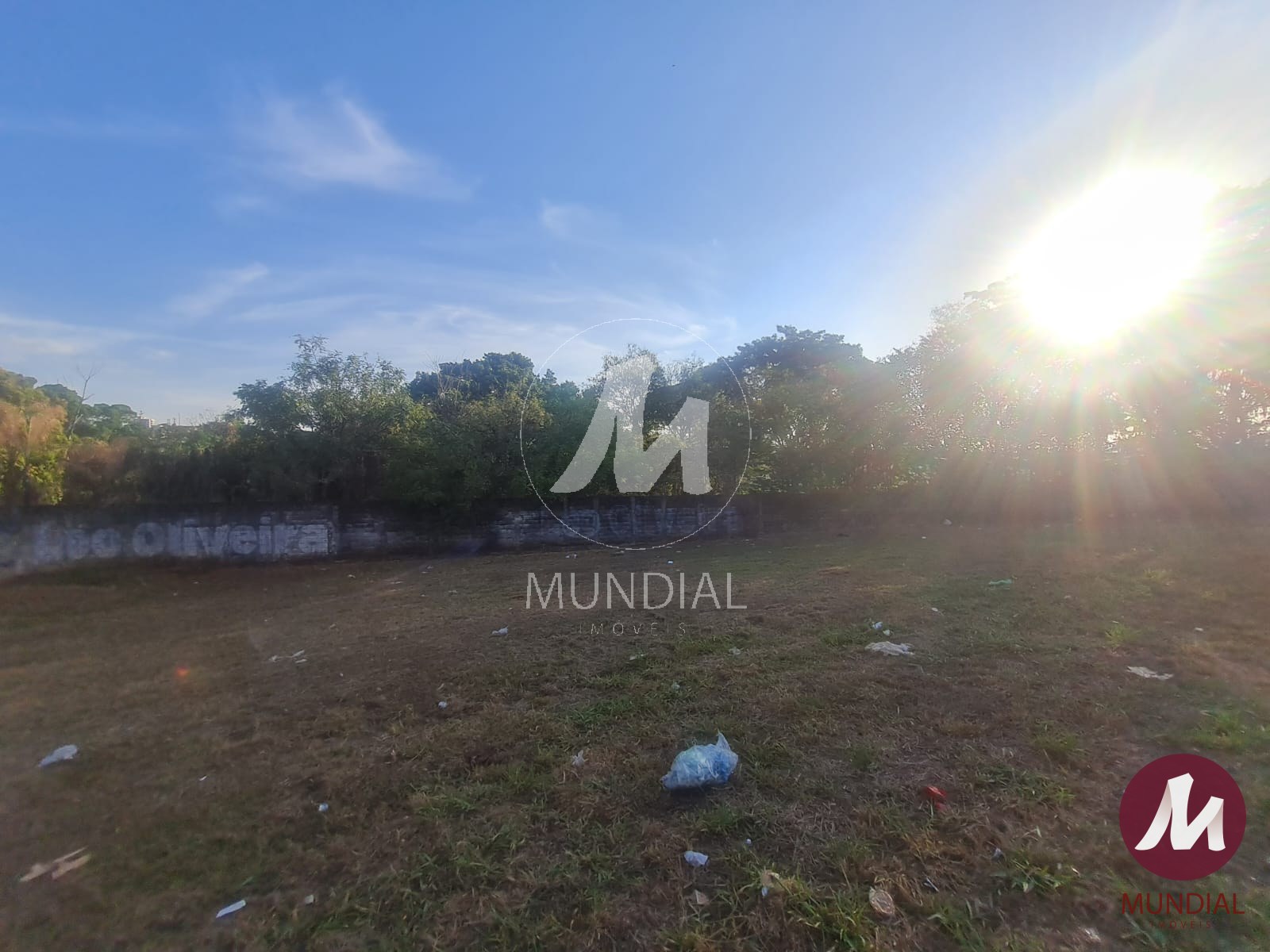 Terreno/Lote — foto 1