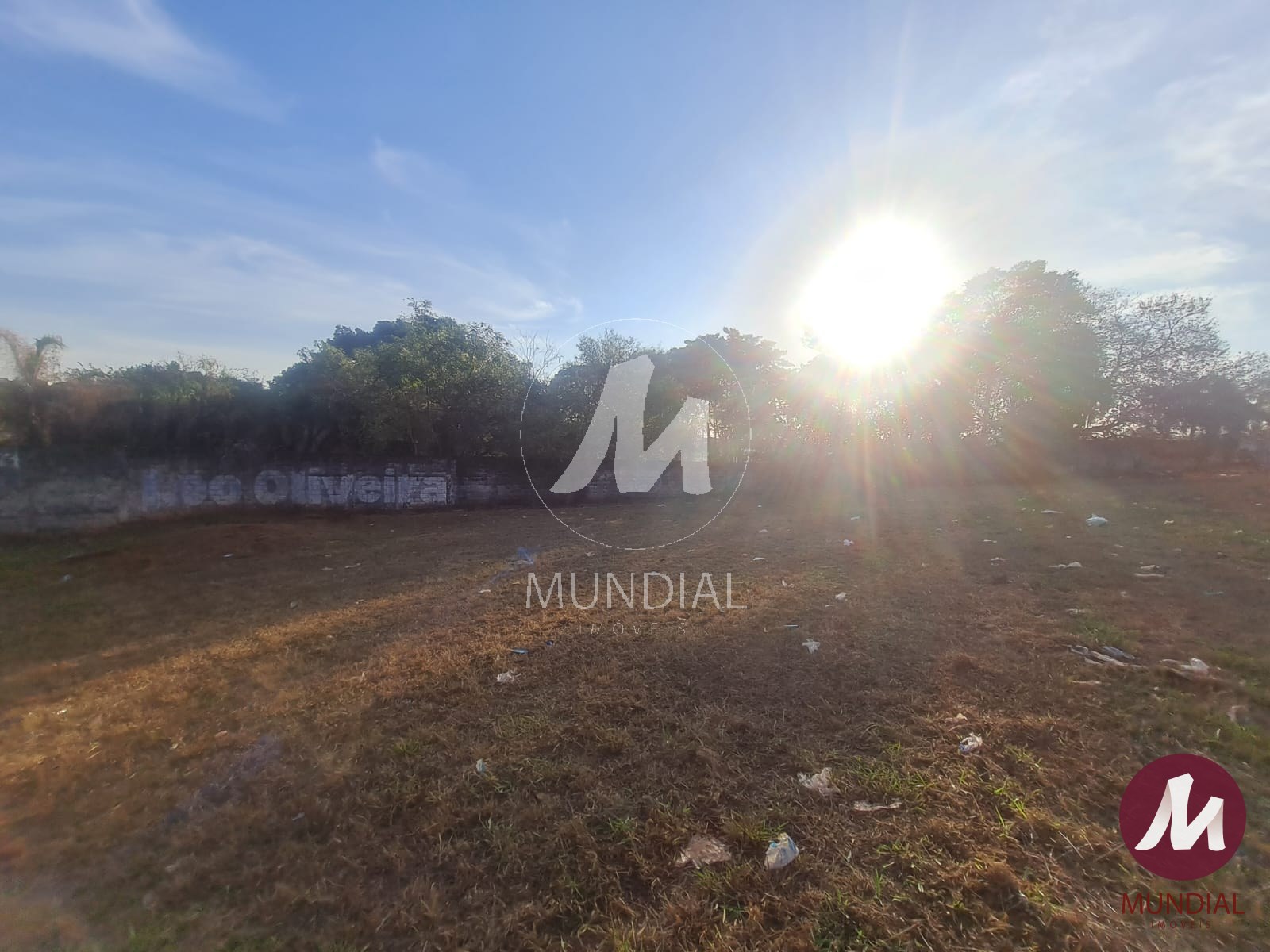 Terreno/Lote — foto 2