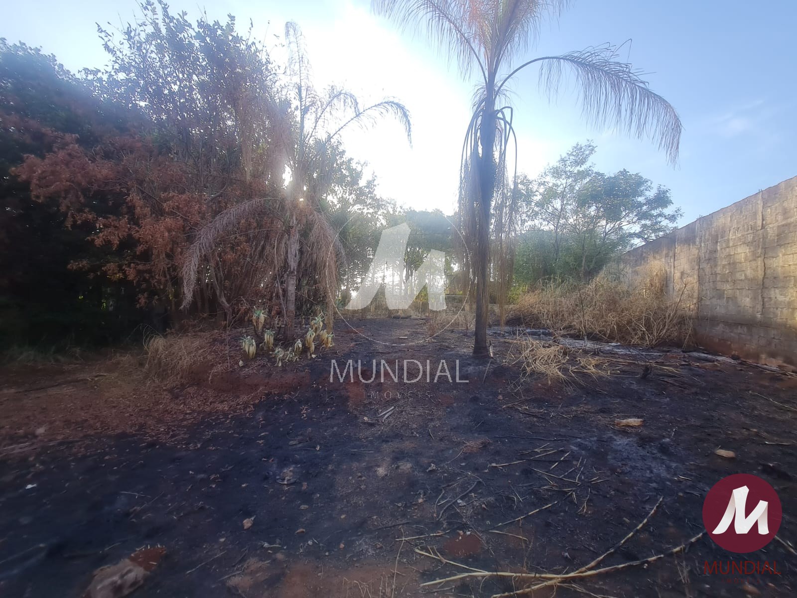 Terreno/Lote — foto 4