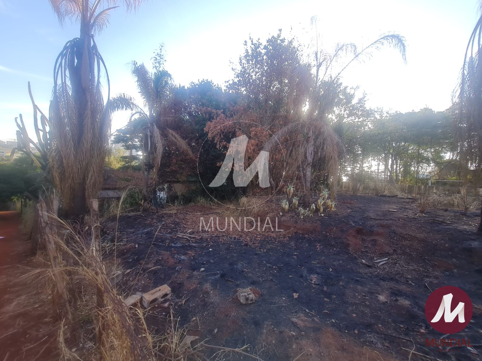Terreno/Lote — foto 8