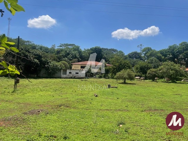 Terreno/Lote — foto 11