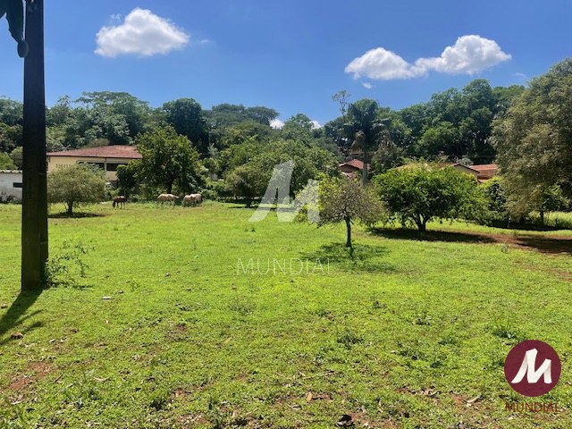 Terreno/Lote — foto 12