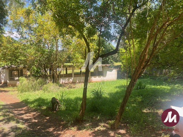 Terreno/Lote — foto 17