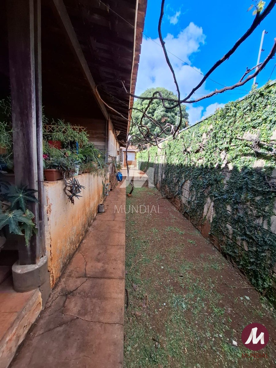 Quintal/corredores — foto 14