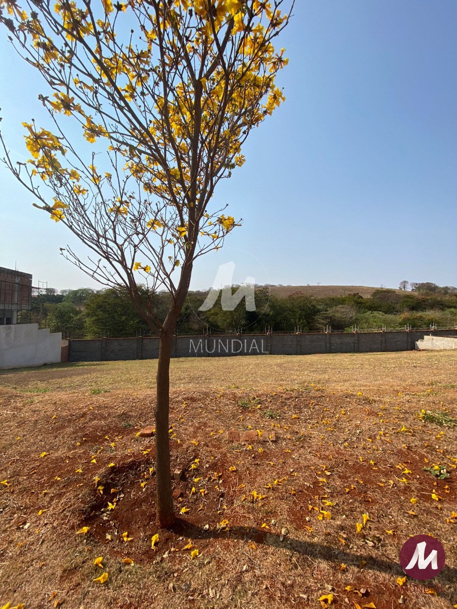 Terreno/Lote — foto 4