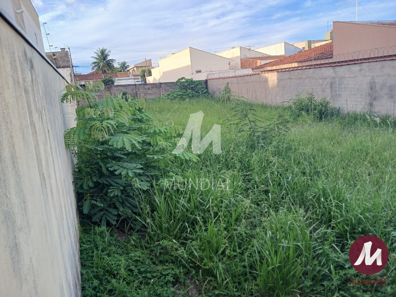 Terreno/Lote — foto 2