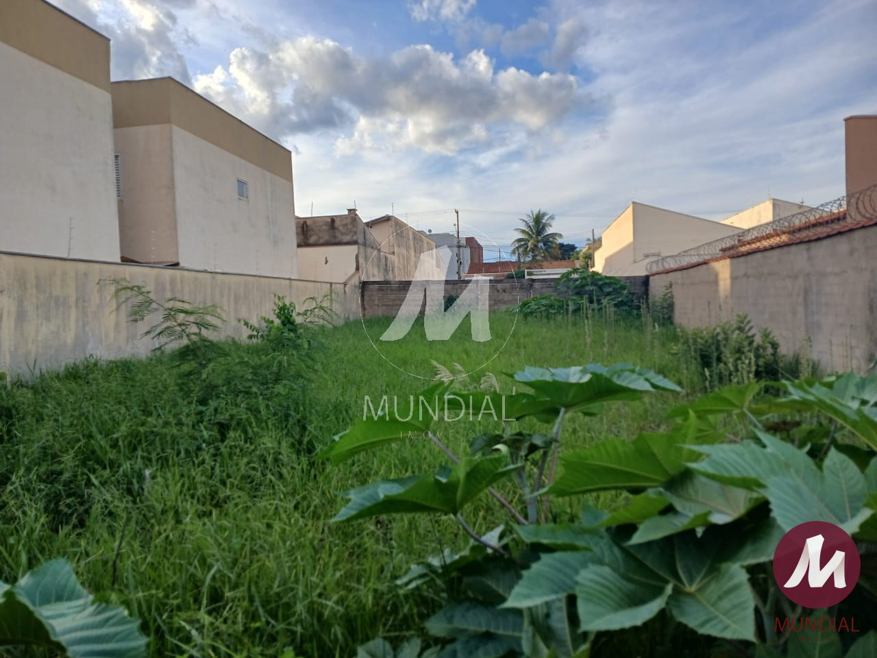 Terreno/Lote — foto 3