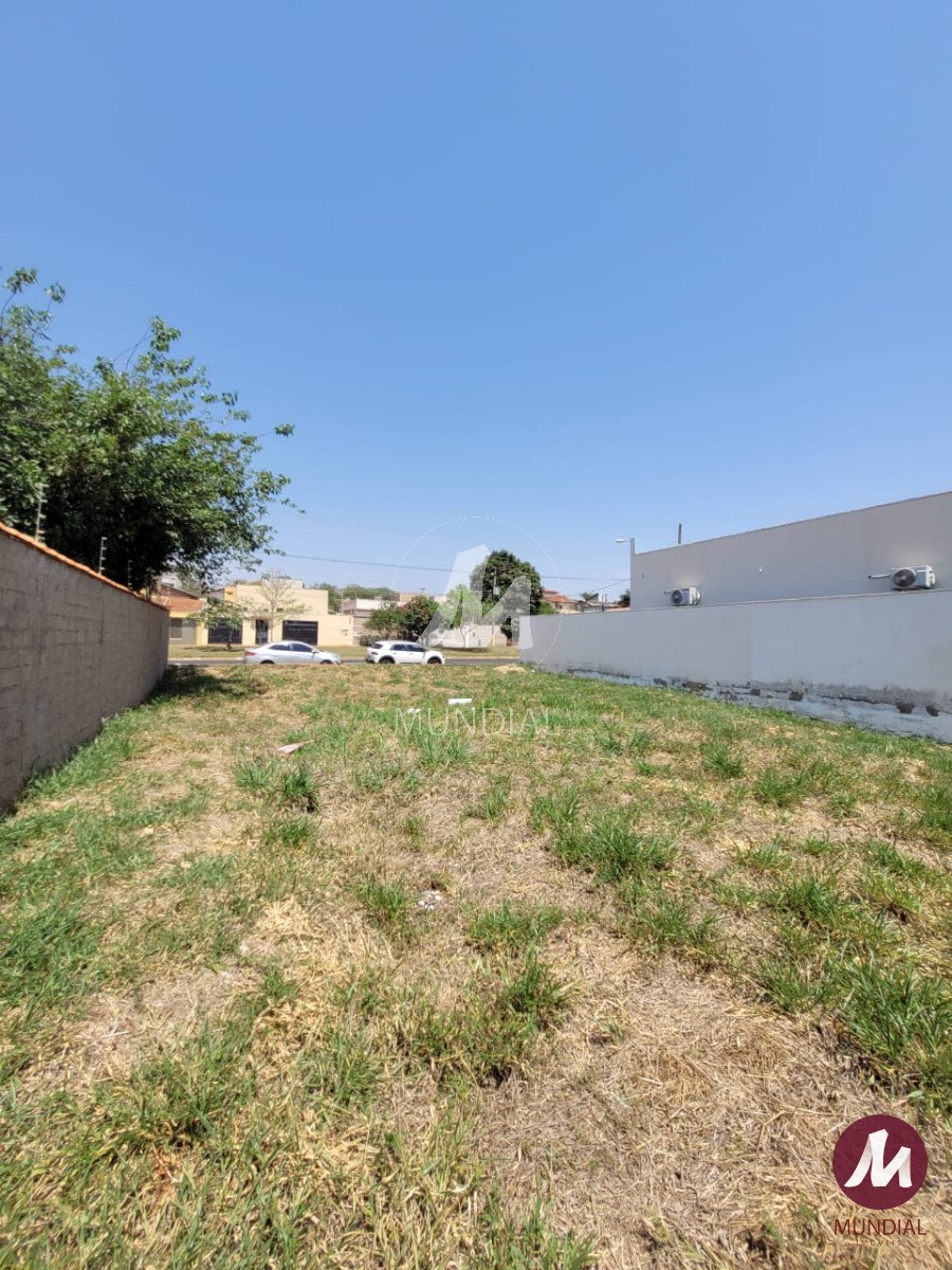 Terreno/Lote — foto 3