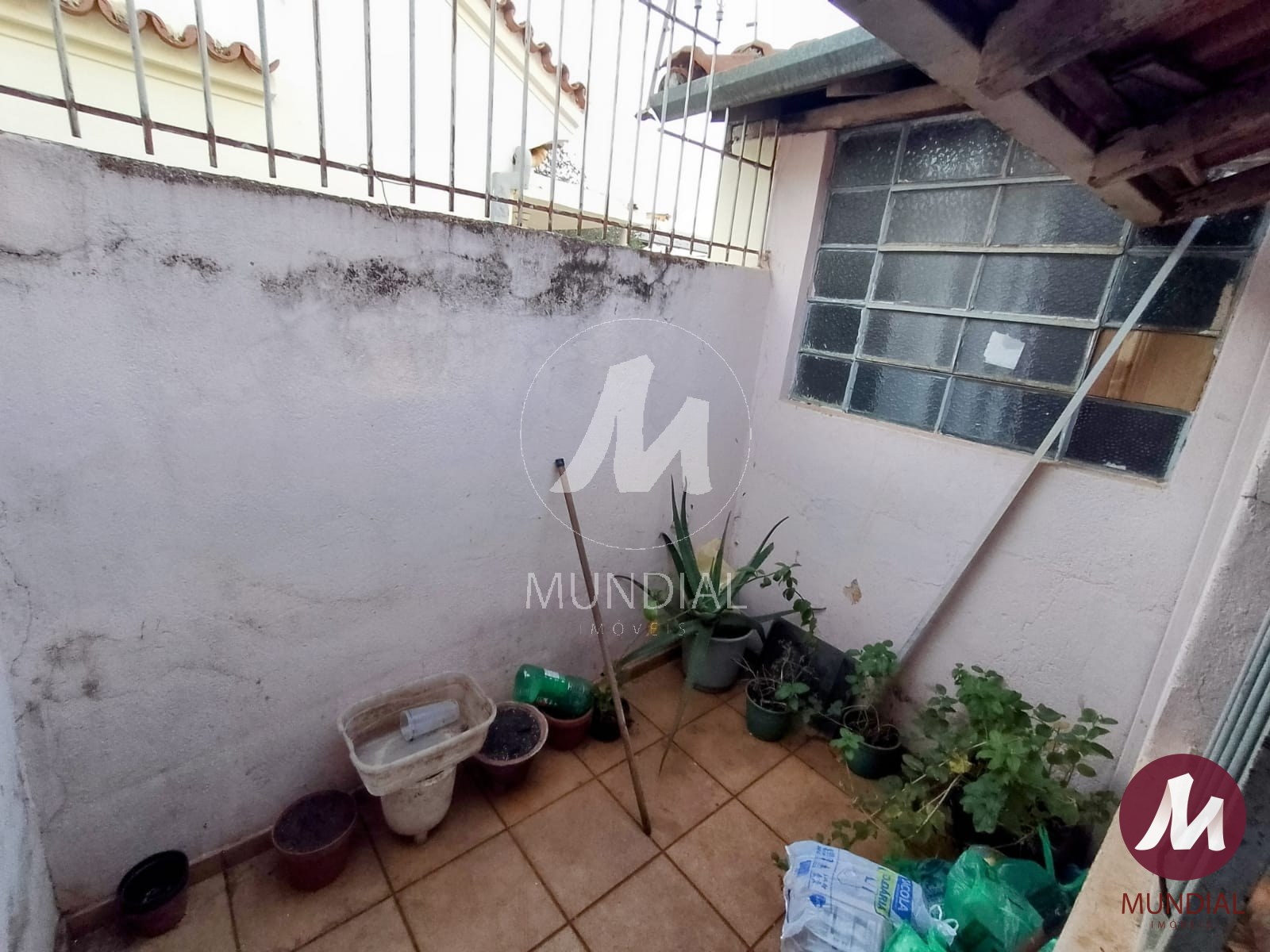 Quintal/corredores — foto 22