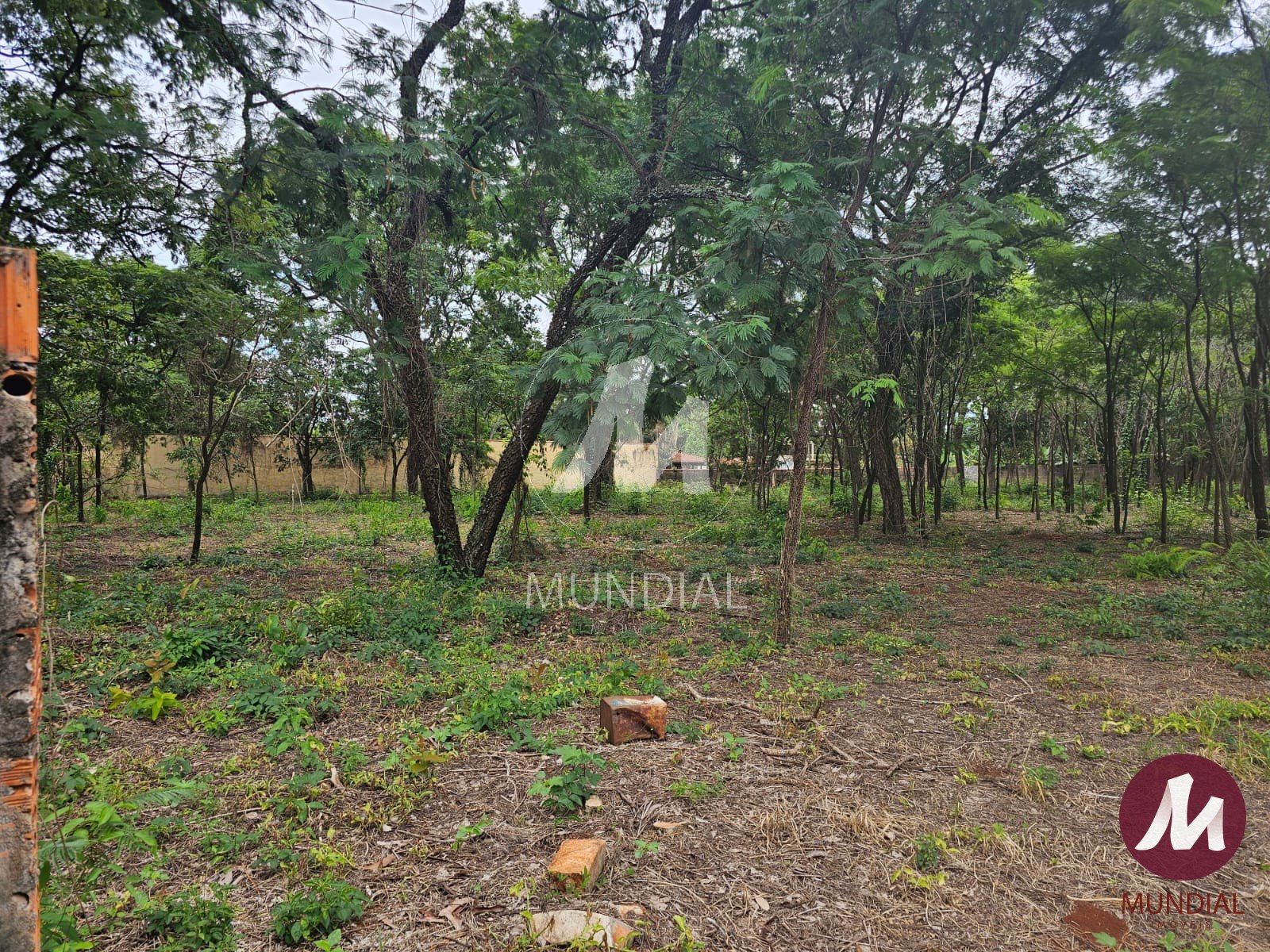 Terreno/Lote — foto 1