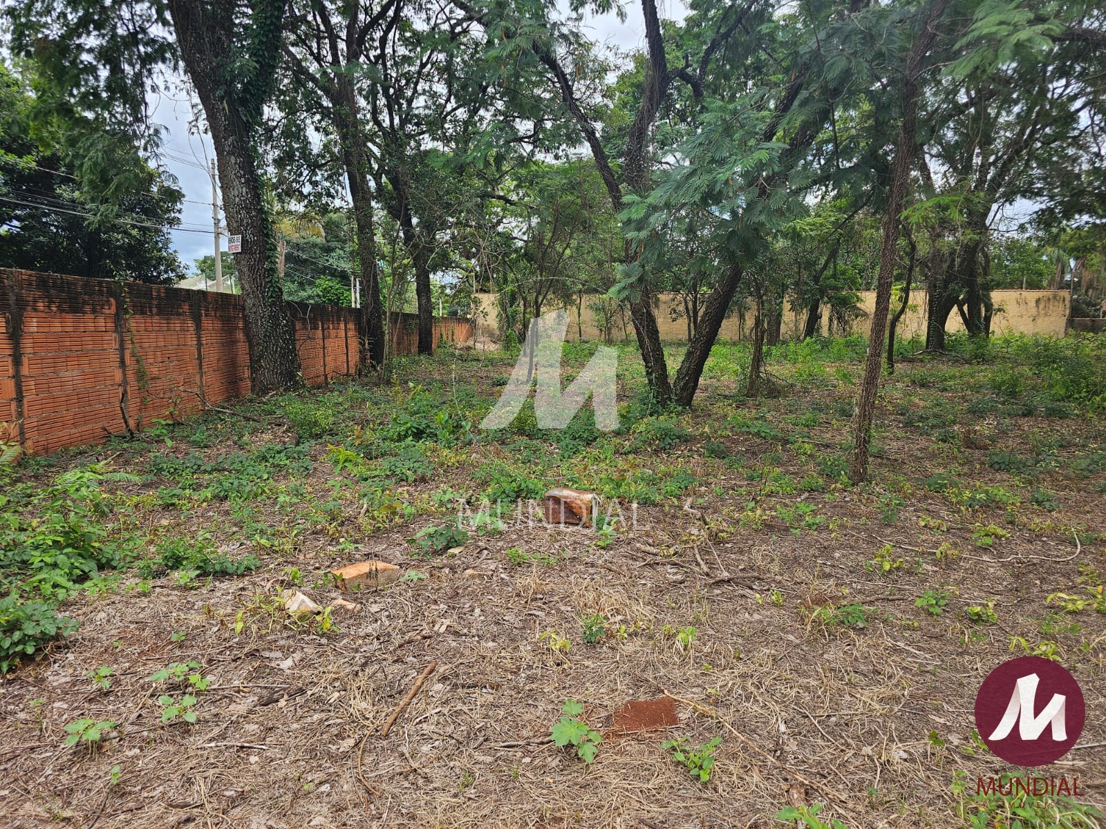 Terreno/Lote — foto 3