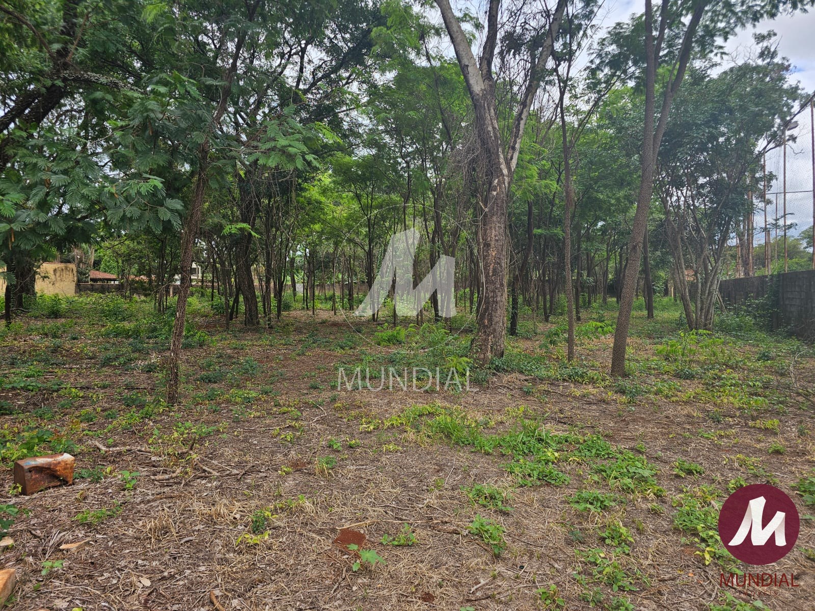 Terreno/Lote — foto 4