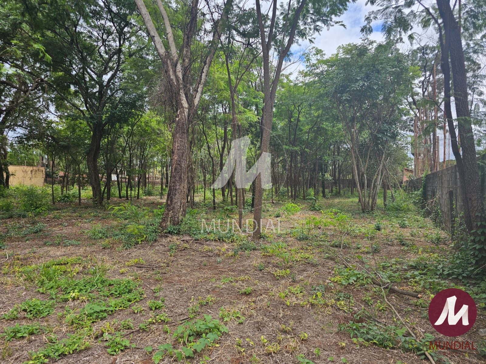 Terreno/Lote — foto 5