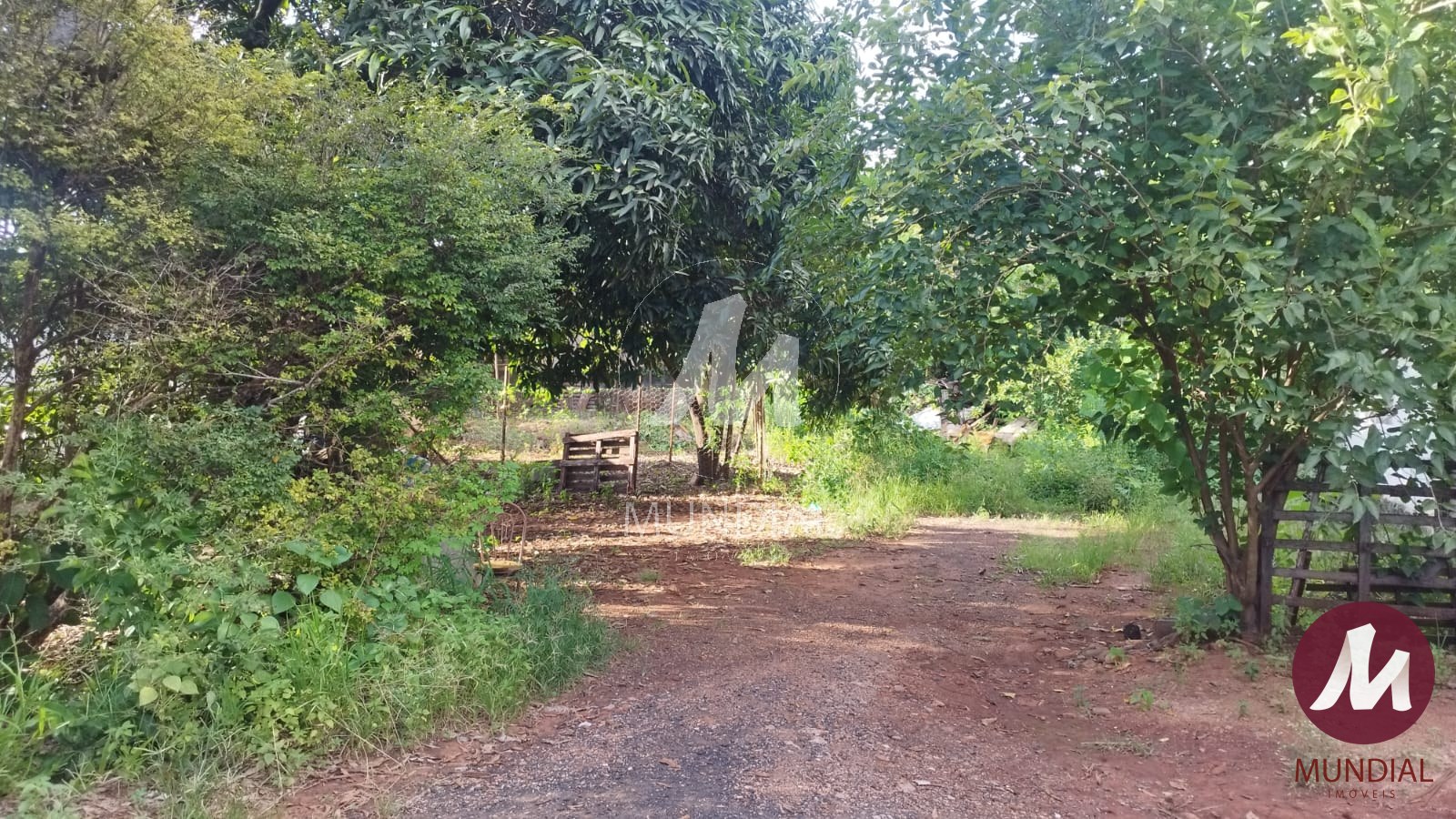 Terreno/Lote — foto 2