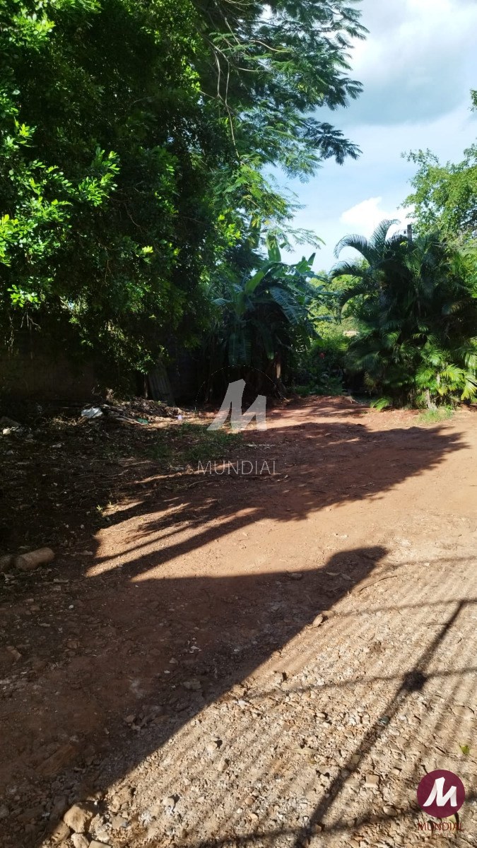 Terreno/Lote — foto 4
