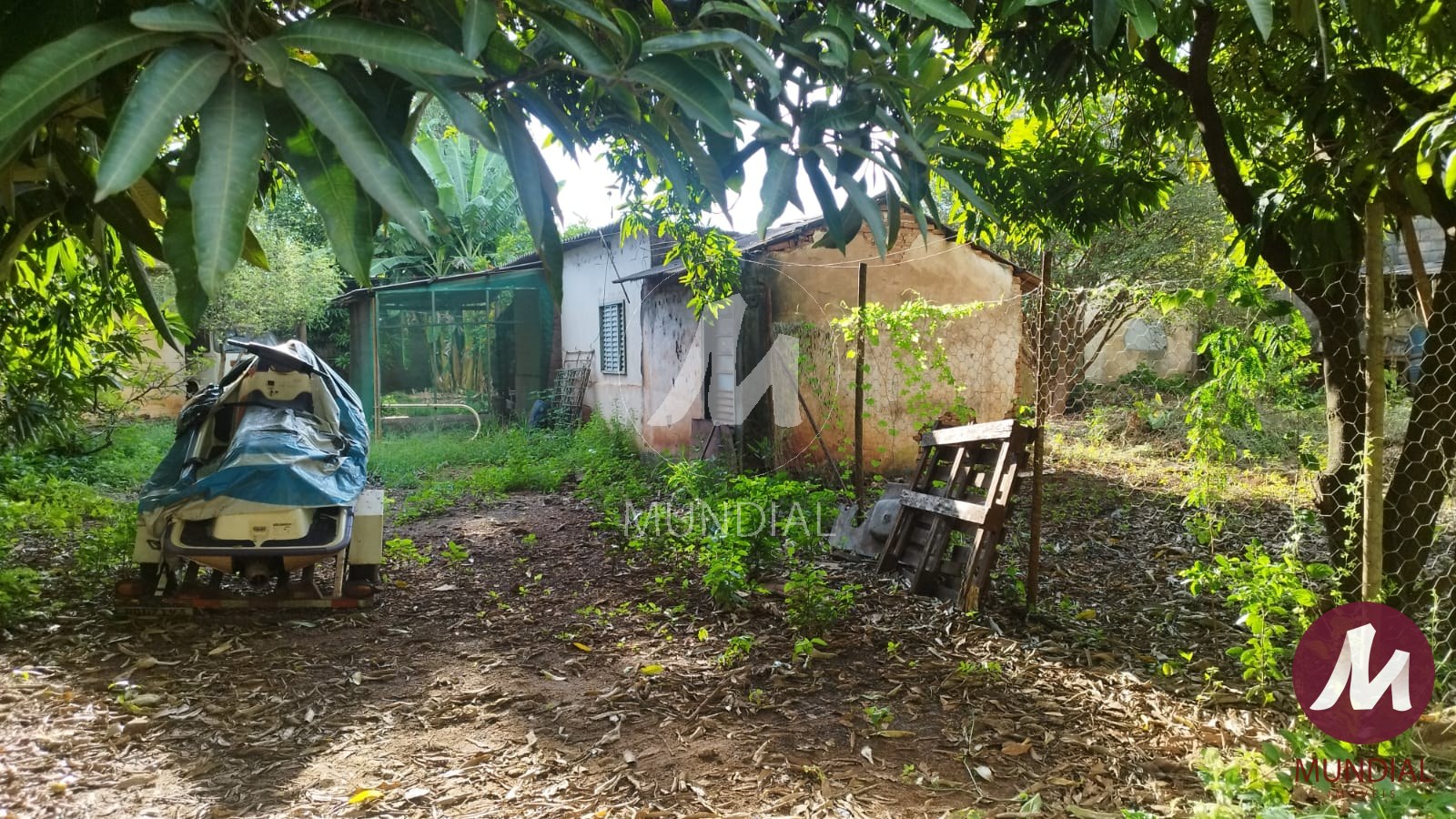 Terreno/Lote — foto 5