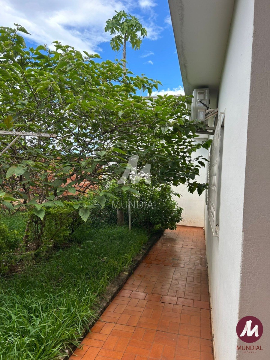 Quintal/corredores — foto 20