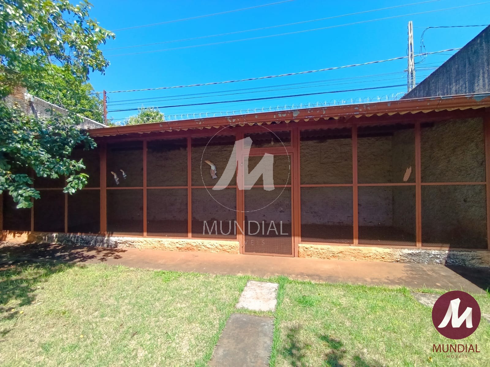 Quintal/corredores — foto 27