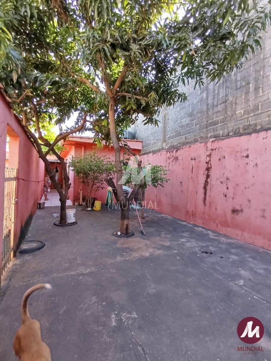 Quintal/corredores — foto 10