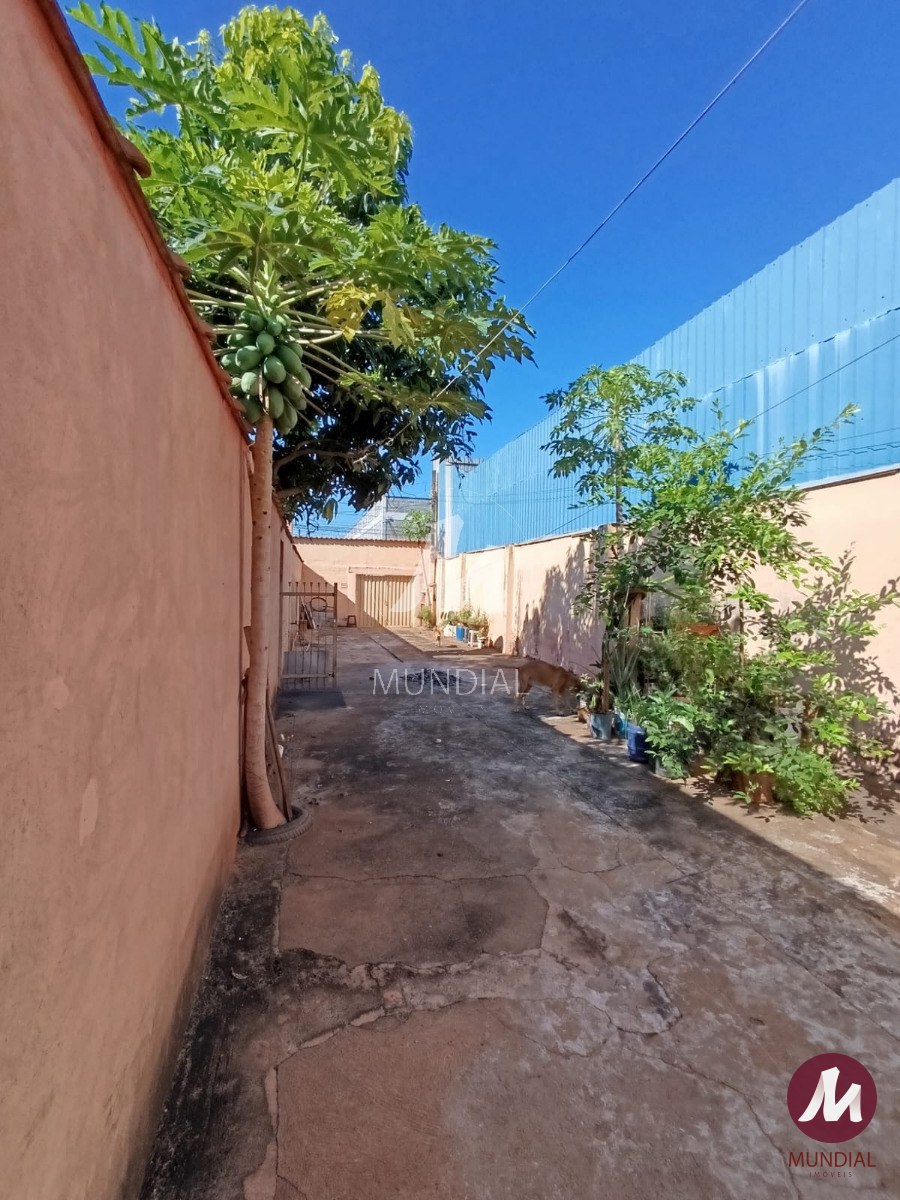 Quintal/corredores — foto 14