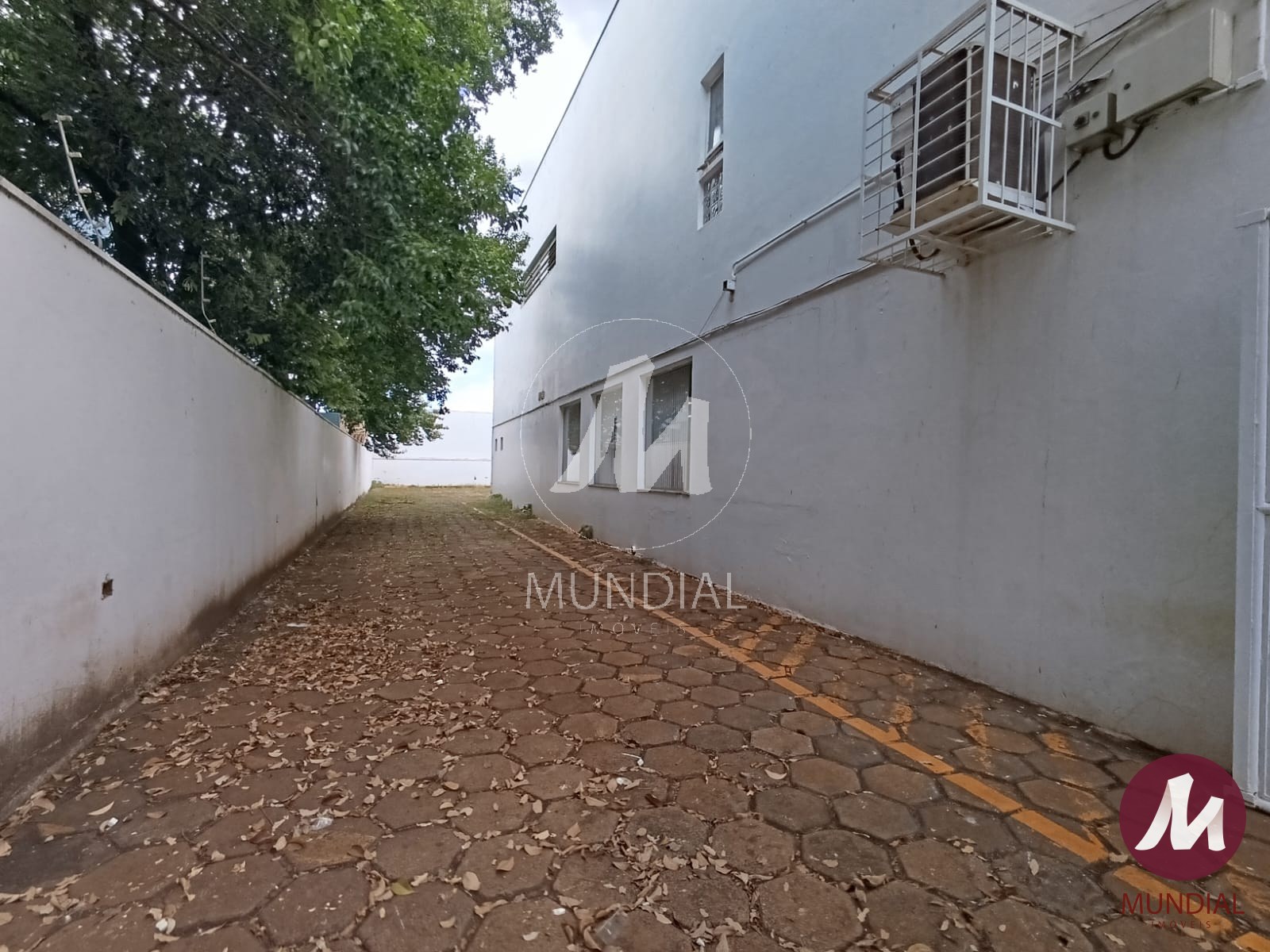 Quintal/corredores — foto 14