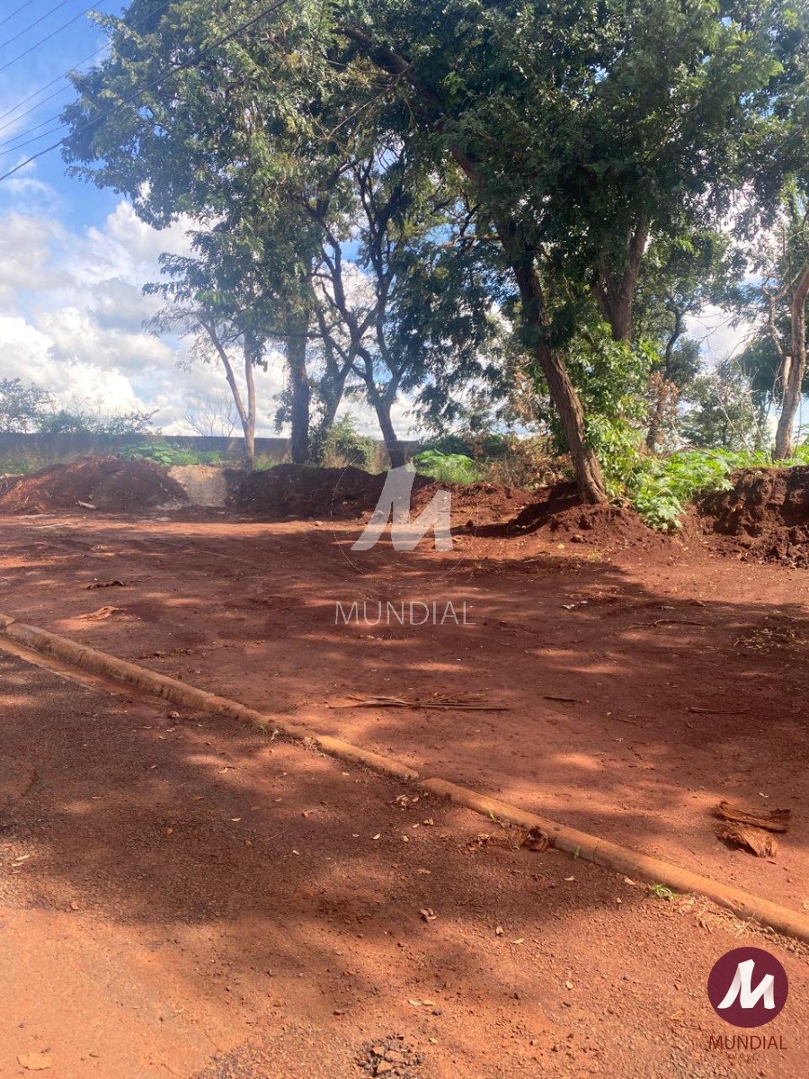 Terreno/Lote — foto 4