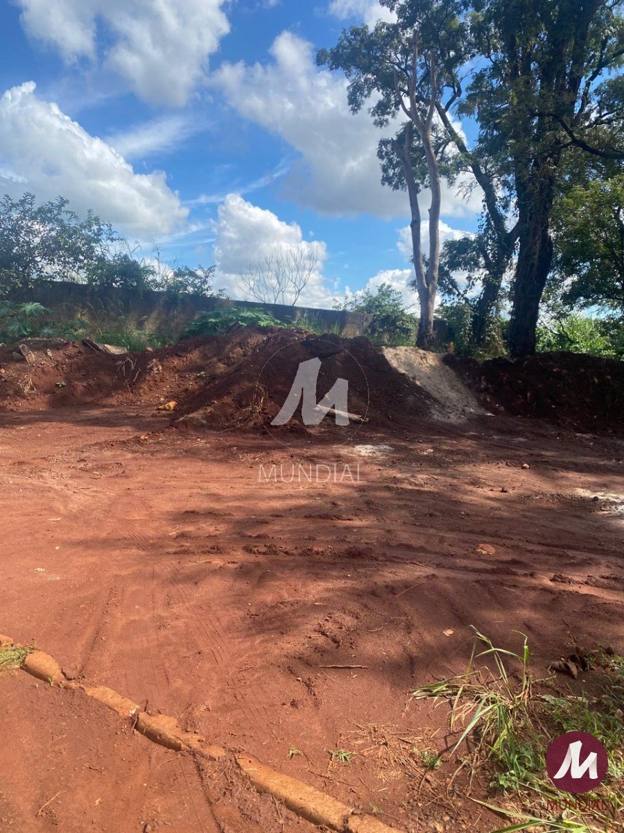 Terreno/Lote — foto 6