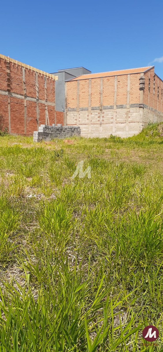 Terreno/Lote — foto 3