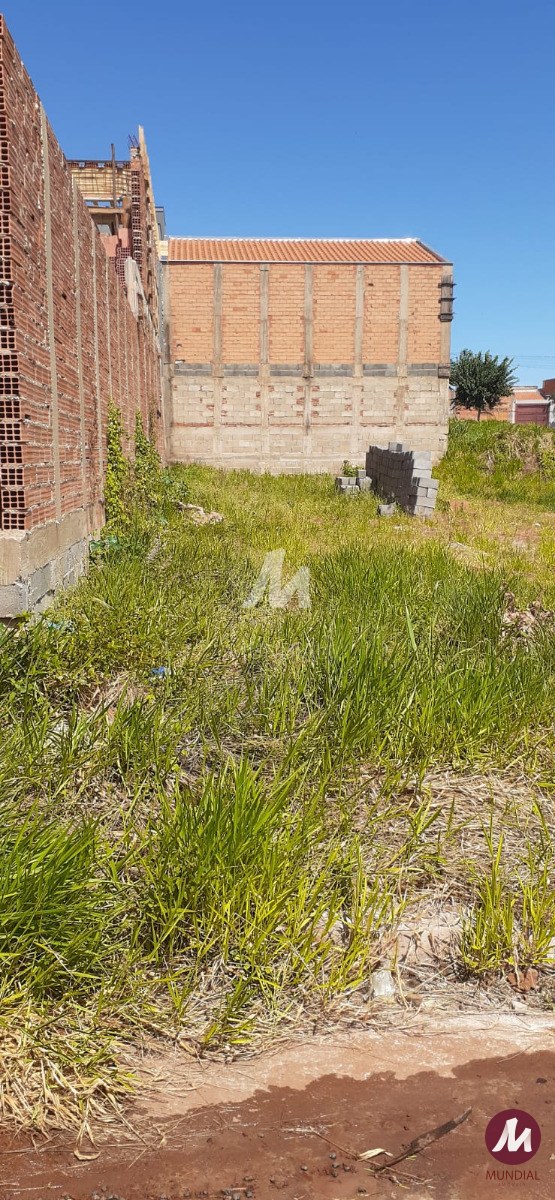 Terreno/Lote — foto 4