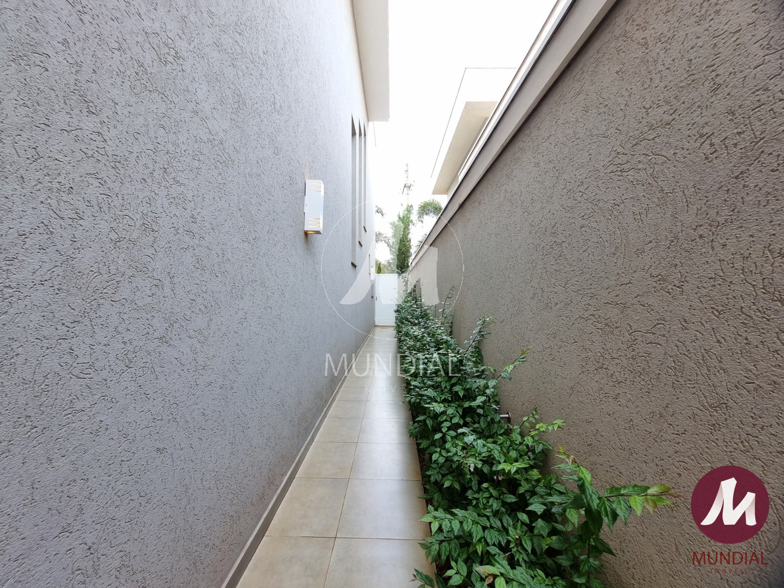 Quintal/corredores — foto 23