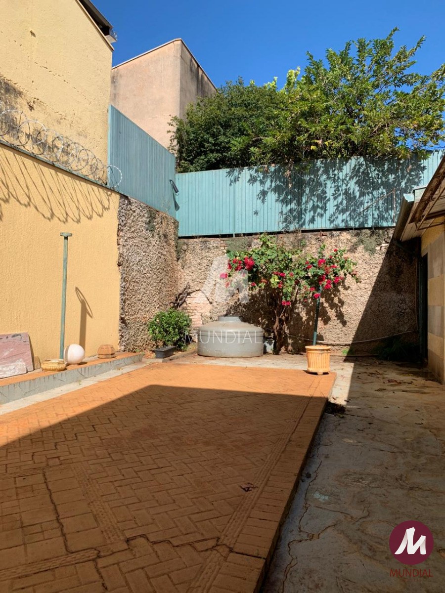 Quintal/corredores — foto 26