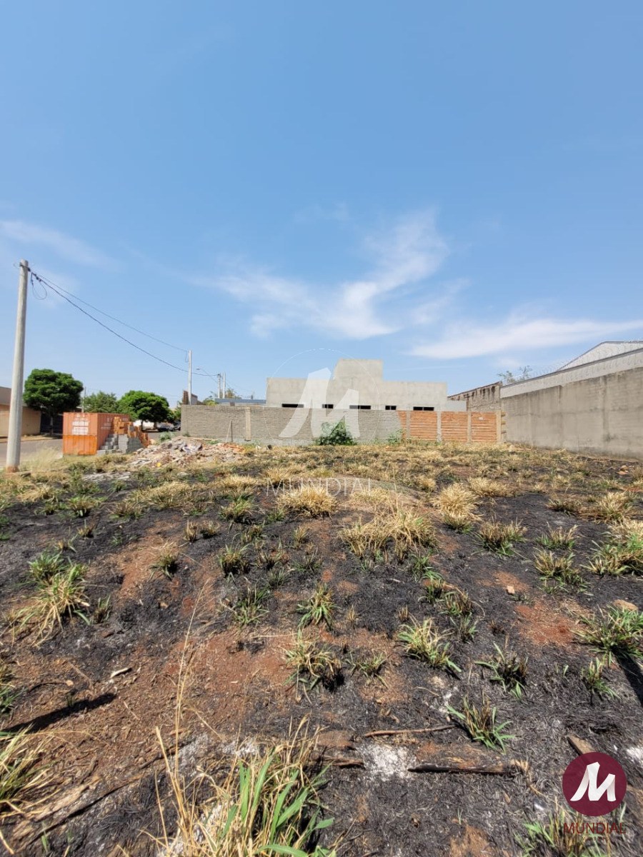 Terreno/Lote — foto 3