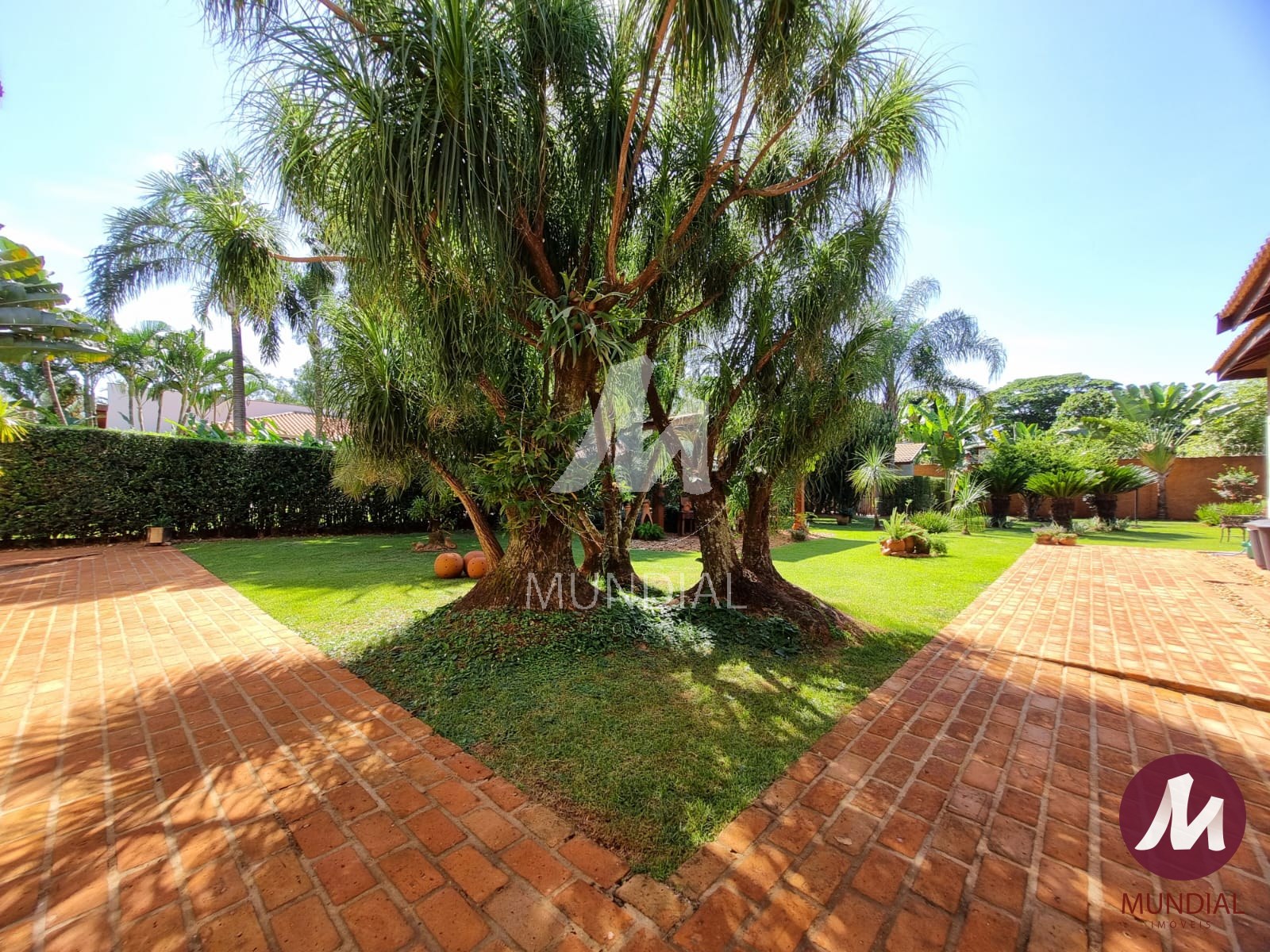 Jardim — foto 38