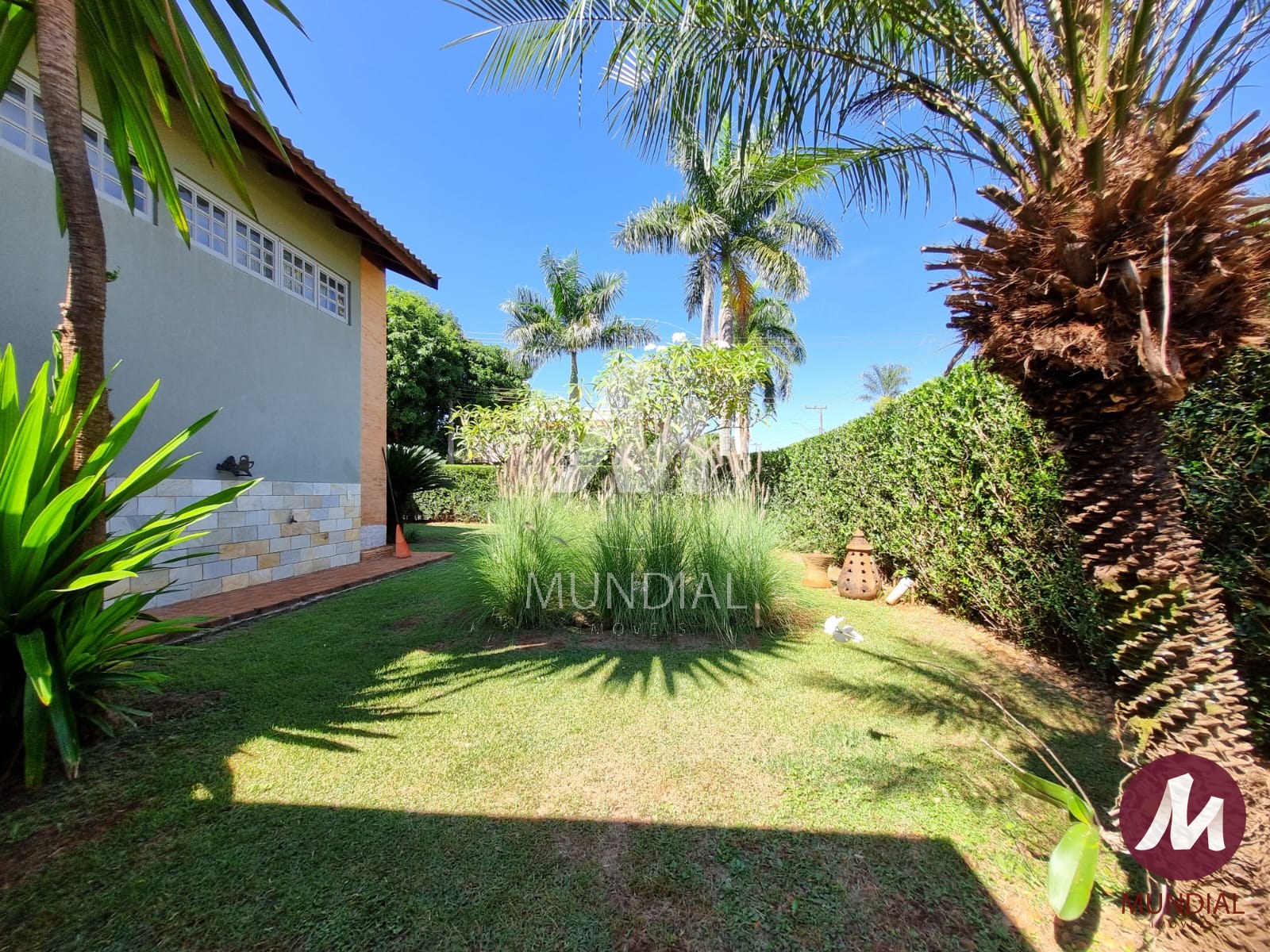 Jardim — foto 41
