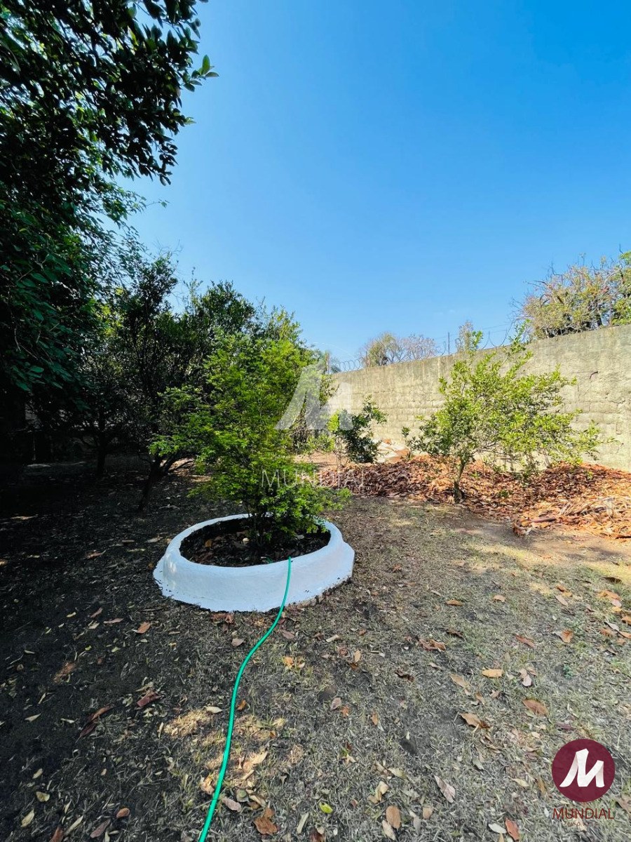 Jardim — foto 32