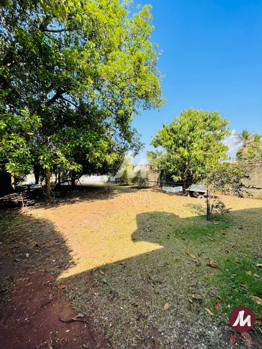 Jardim — foto 33