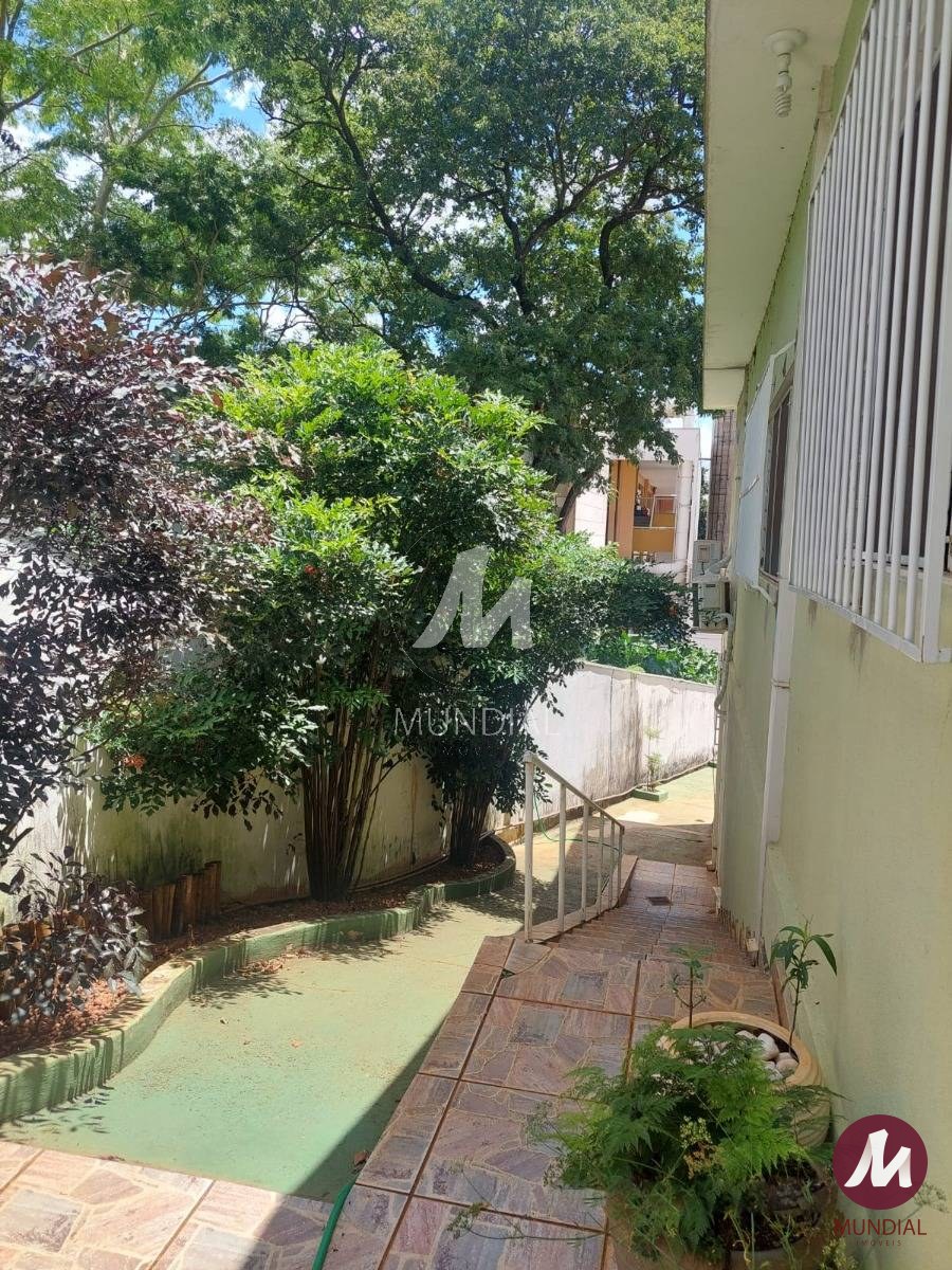 Jardim — foto 14