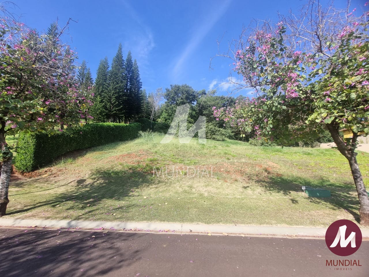 Terreno/Lote — foto 1